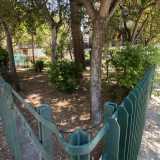 Mentre in via Niceforo � facile passeggiare accanto a delle oasi composte da maestosi alberi...